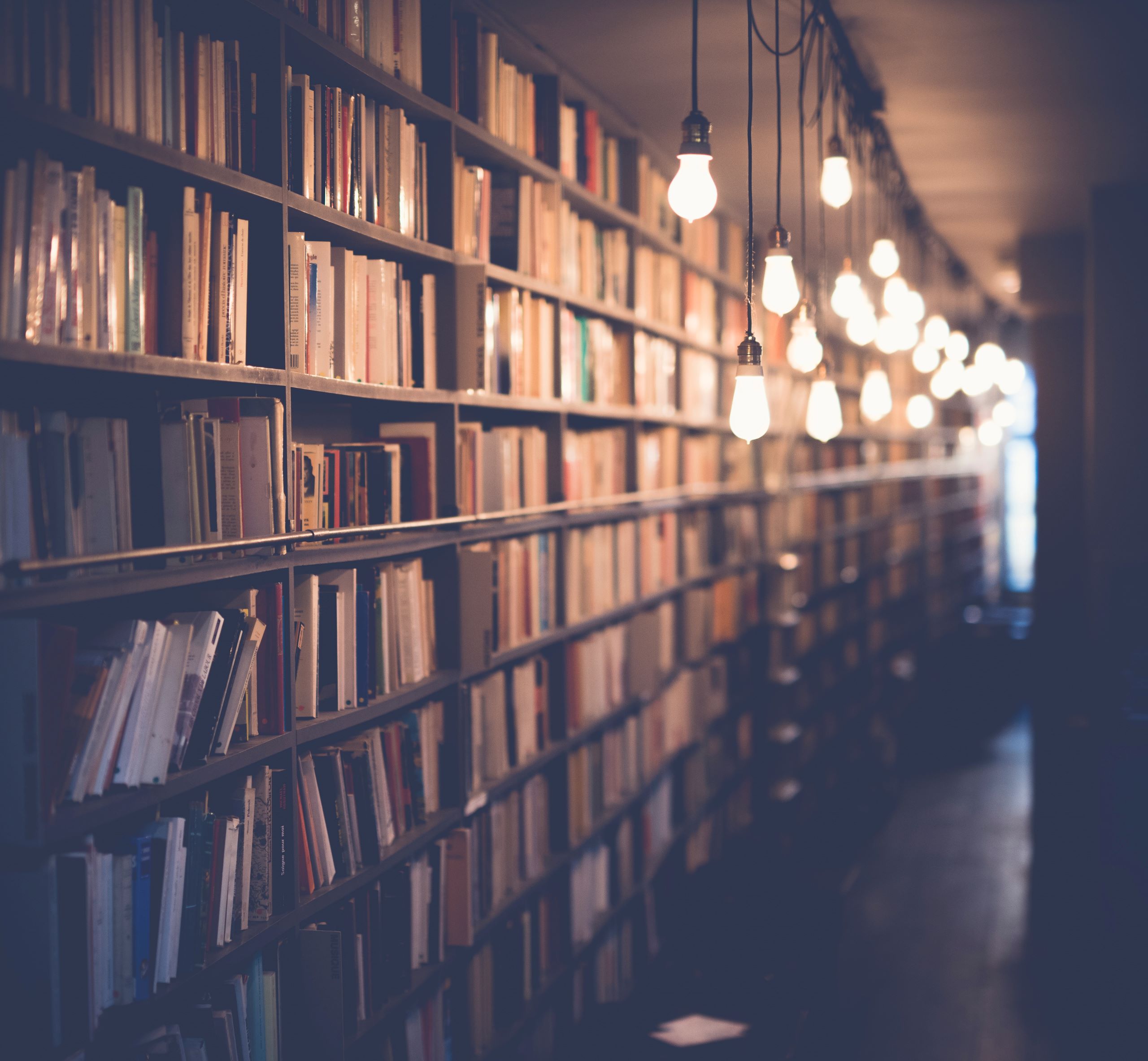 bookshelves with hanging lightbulbs