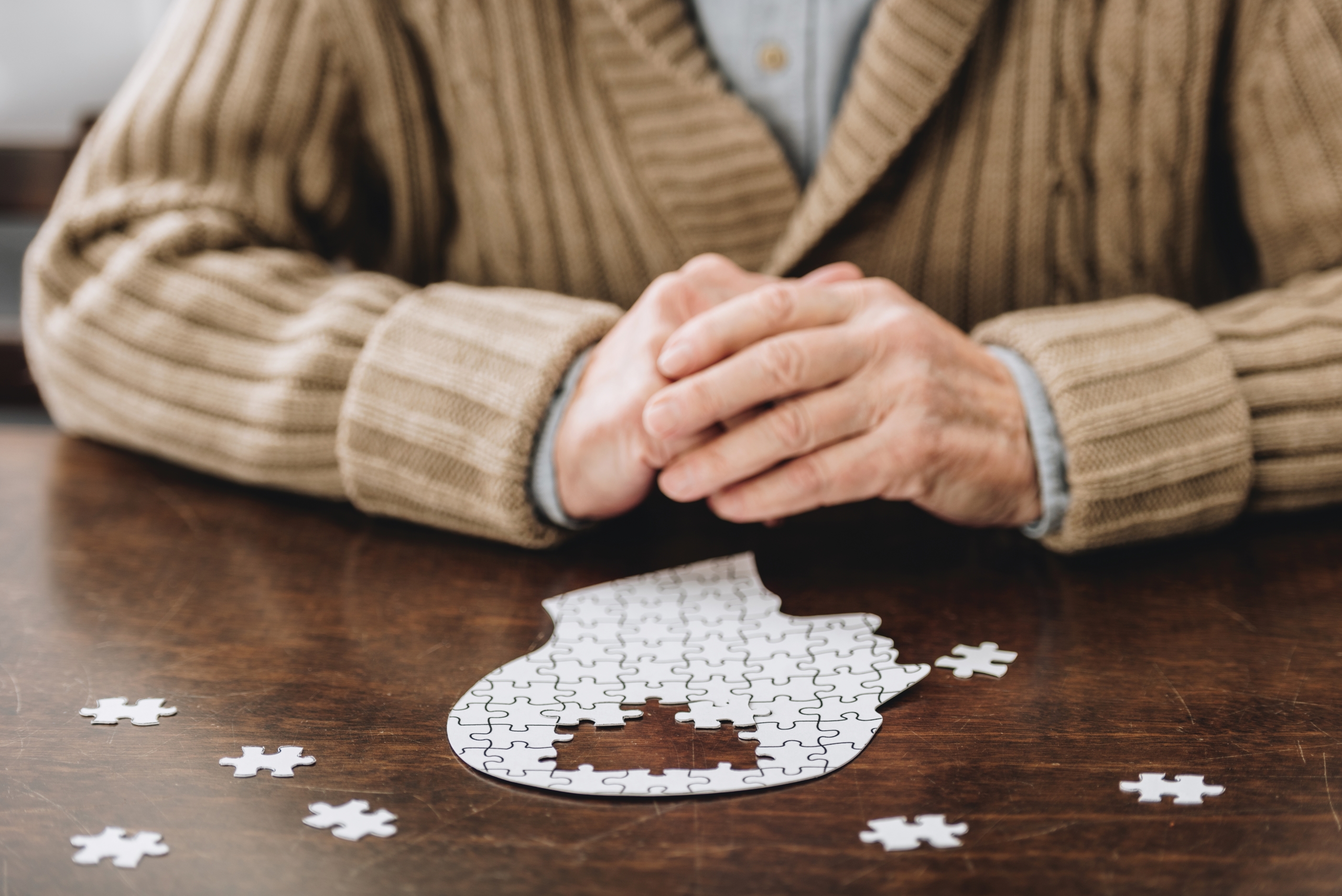 older person working on a jigsaw puzzle
